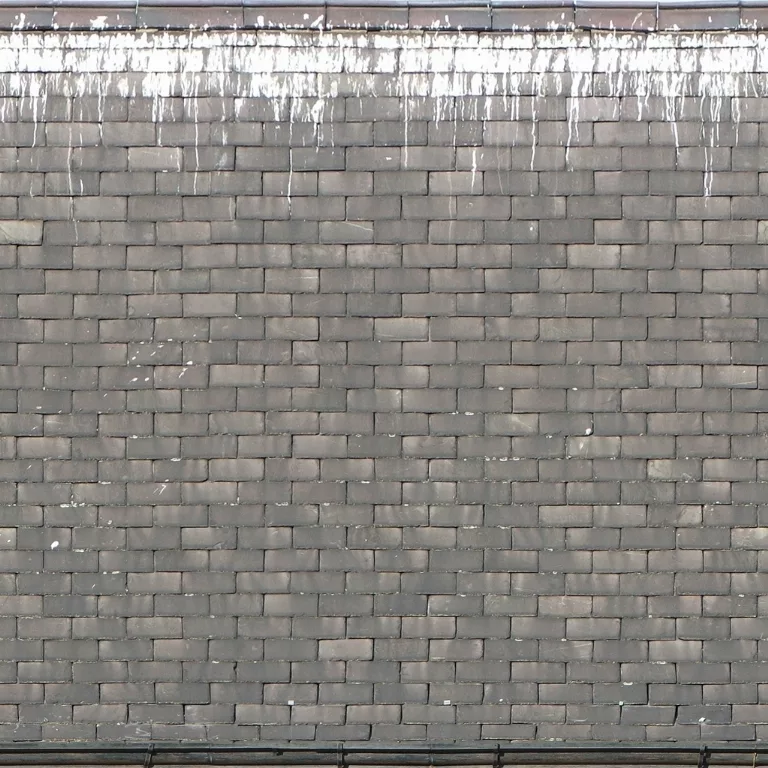 Roof Slate Bird Droppings main texture preview