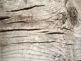 S S Oldpost main texture preview