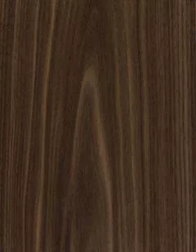 Walnut main texture preview
