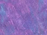 S S Blucan main texture preview