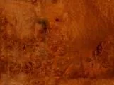 S S Burloak main texture preview