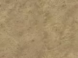 S S Skin2 main texture preview