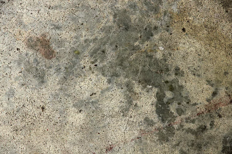 6 main texture preview