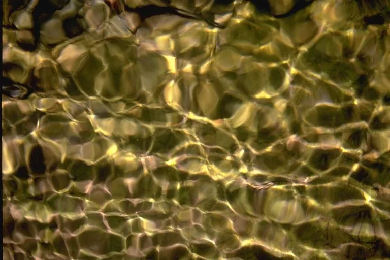 I M G0064 main texture preview
