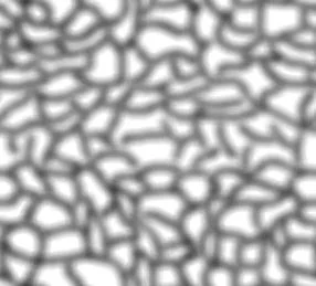 Brainy main texture preview