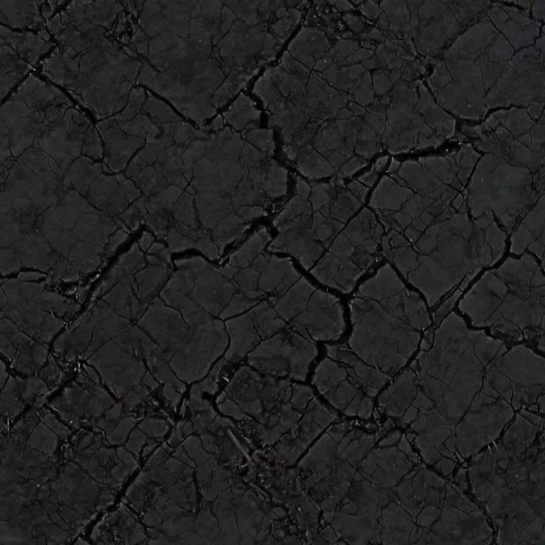 Specular Map for Cc0 Mud Crackly Ground