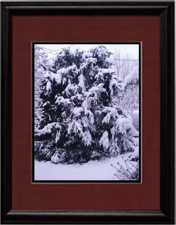 Winter House Art Snowy Picture2 main texture preview