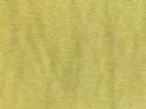 S S Dgrass main texture preview