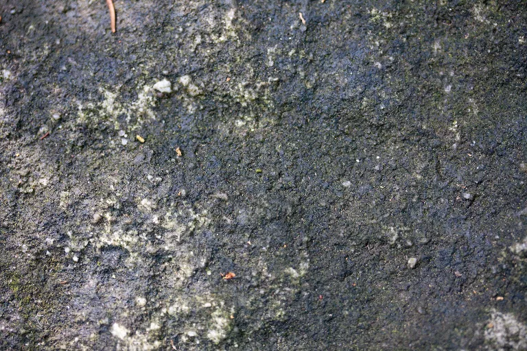 Img 0048 main texture preview