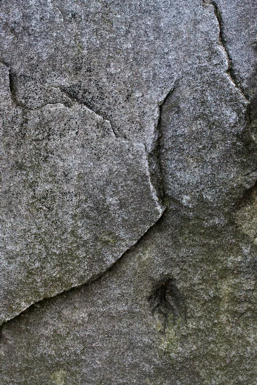 Img 0108 main texture preview