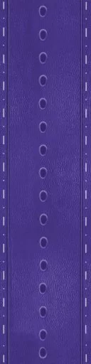 Dark Purple Leather Strap 4V01 main texture preview