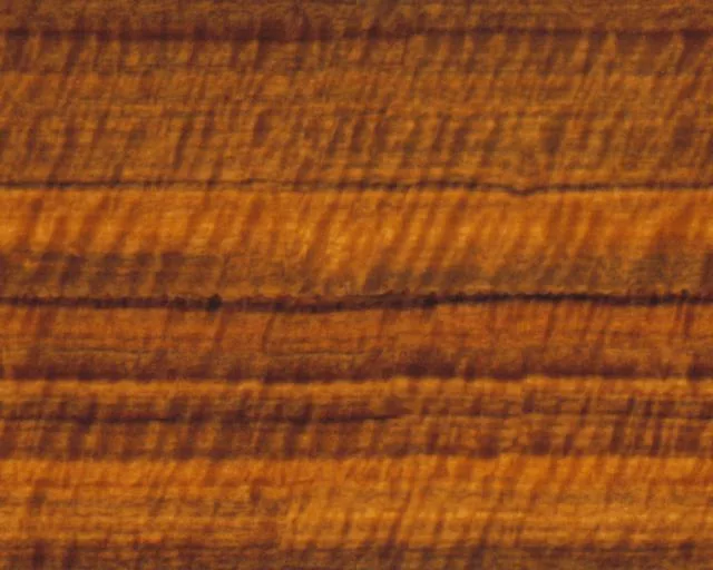 Wood19L main texture preview