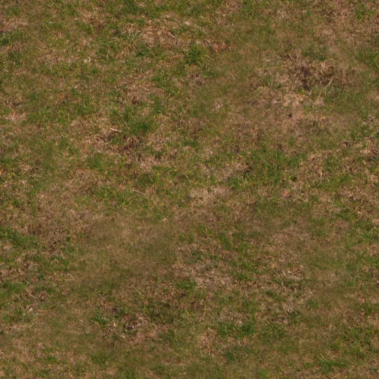Grass Sparse Mossy Cc By Christian Femmer main texture preview