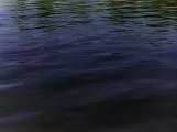 S S Water1 2 main texture preview