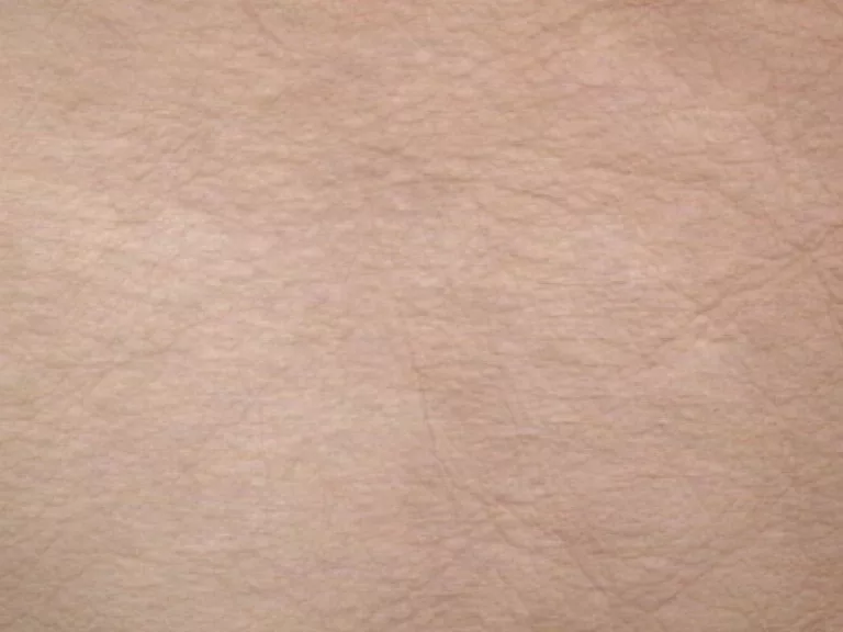 Human Skin main texture preview