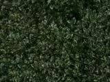 S S Natur18L main texture preview