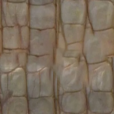 White Gator Tail Close Profile 6 21 12 main texture preview