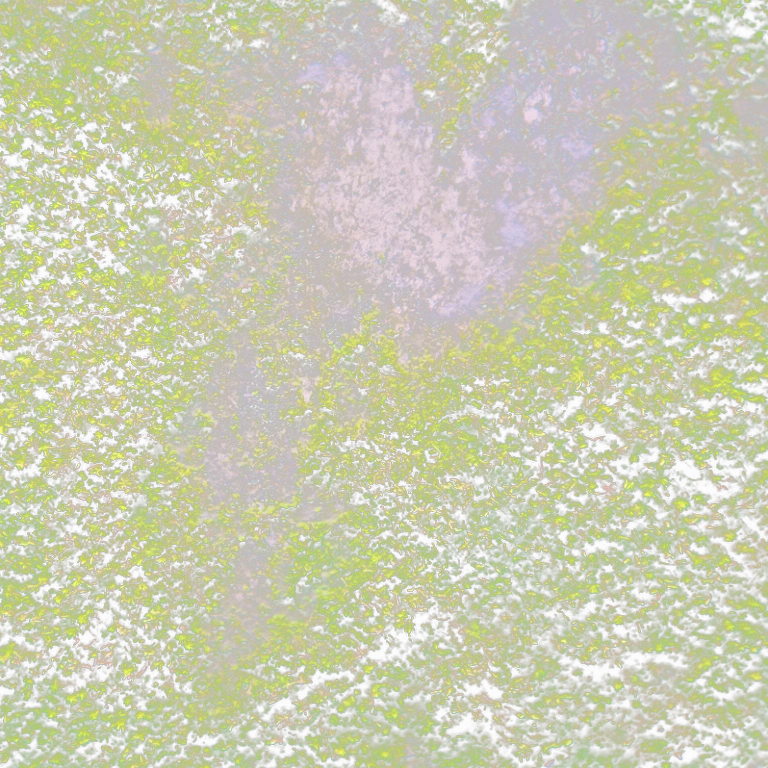 Moss1A main texture preview