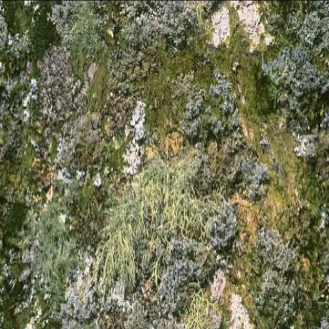 Heavy Moss Rock main texture preview
