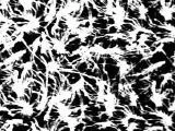 S S Bump17 main texture preview