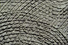 Cement main texture preview