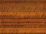 S S Wood19L main texture preview