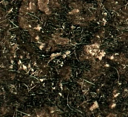 Muddy2 T main texture preview