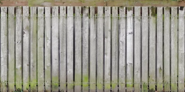 Fence Wood Mossy main texture preview