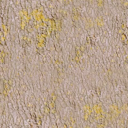 097Bois main texture preview