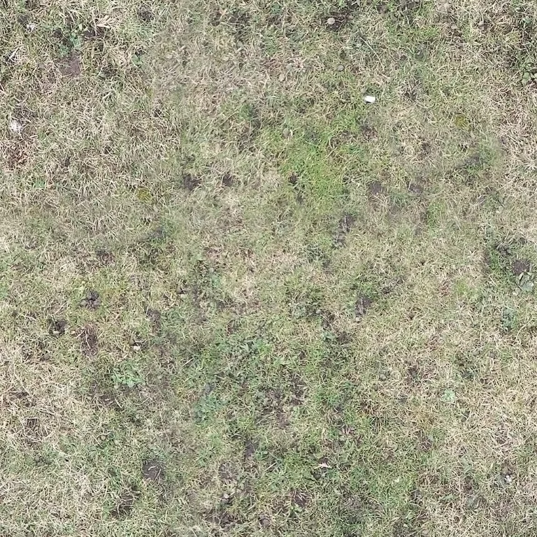 Grass Patchy main texture preview