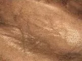 S S Hide4 main texture preview