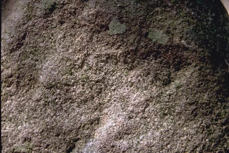 I M G0039 main texture preview