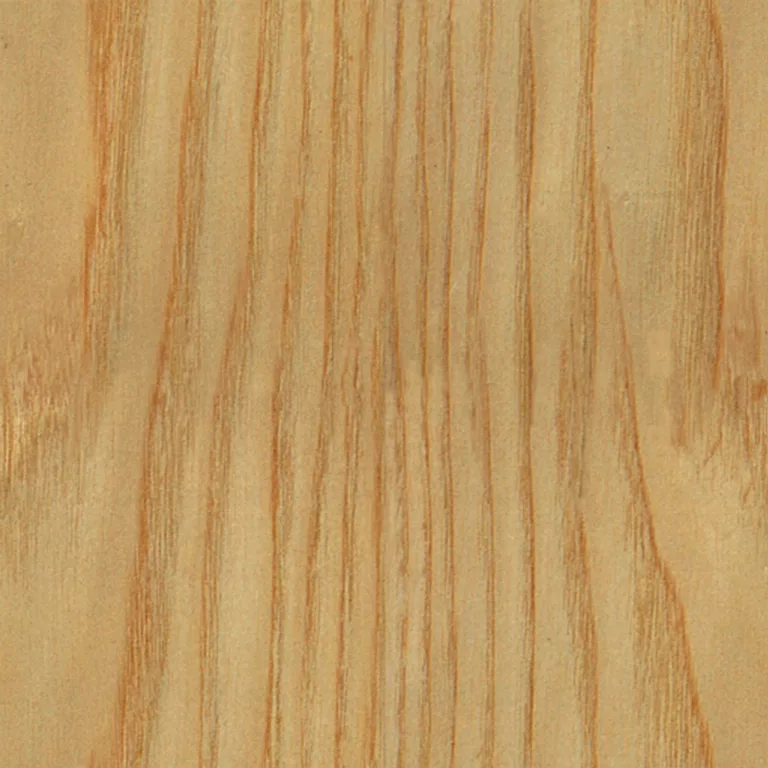 Wood Hackberry Pxr128 Cc By By Pixar main texture preview