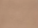 S S Wbaby main texture preview