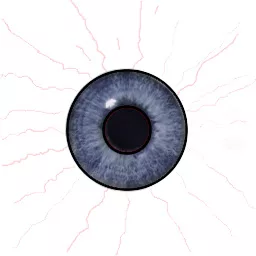 Eye Template main texture preview