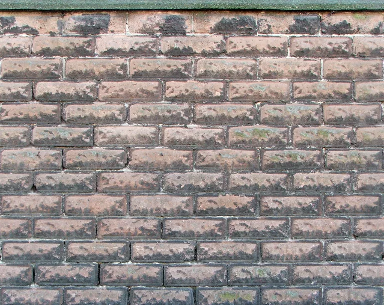 Wall Sandstone2 main texture preview