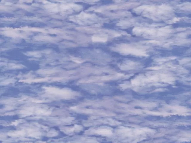 Natur17L main texture preview