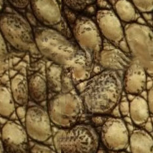 Croc Yellow Large main texture preview