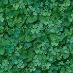 Clover2 main texture preview