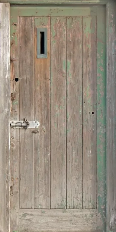 Door Wood Peeled Paint main texture preview