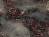 S S Ambrosil main texture preview