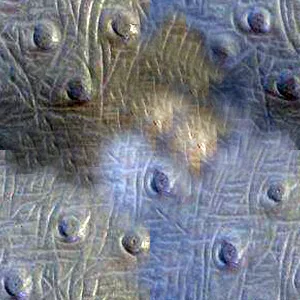 Main Texture for Demon Skin Texture