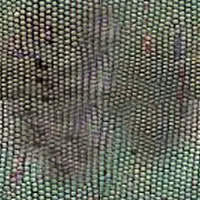 Lizard Green main texture preview
