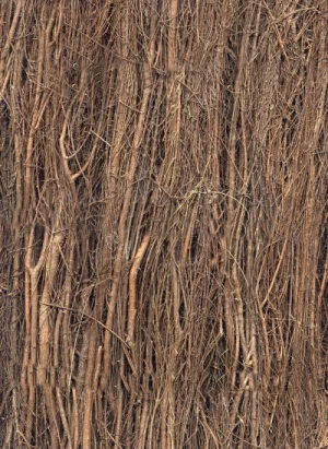 Tropical House Roofing main texture preview