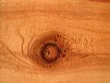 S S Wood3 main texture preview