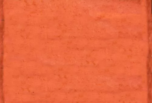 Hotdog main texture preview