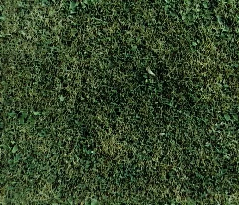 Weed T main texture preview