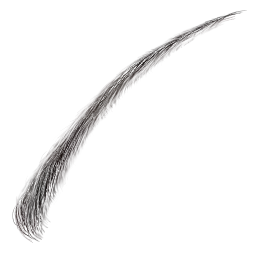 Eyebrow001 main texture preview