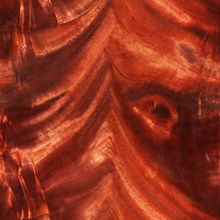 Wood Figured Mahogany Pxr128 Cc By By Pixar main texture preview