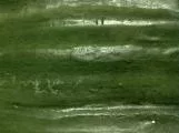 S S Cuke1 main texture preview